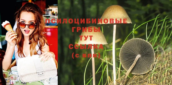 мескалин Пересвет
